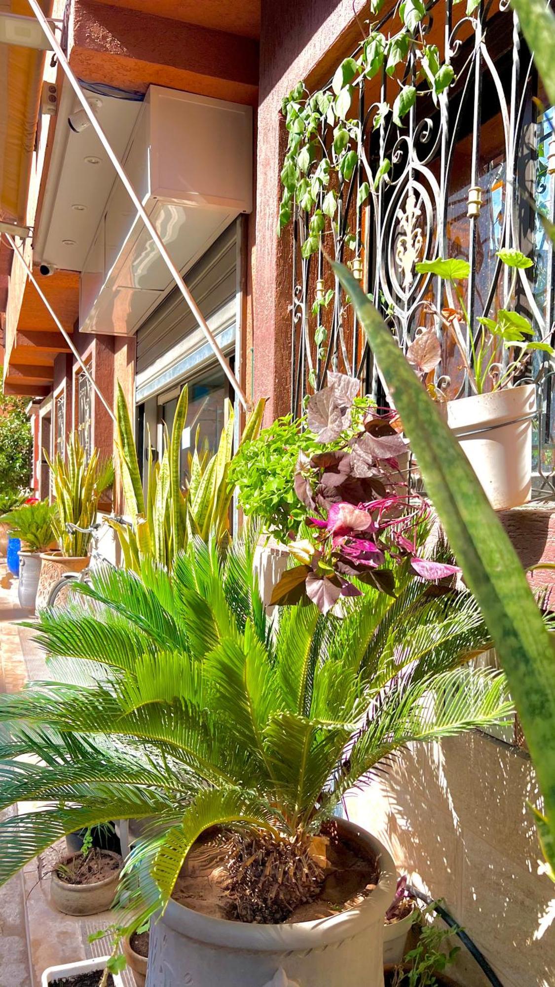 Apartamento Sabor Aparts Jawharat Al Atlas -only Family Marrakesh